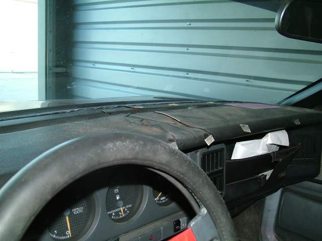 DSCF2254.jpg