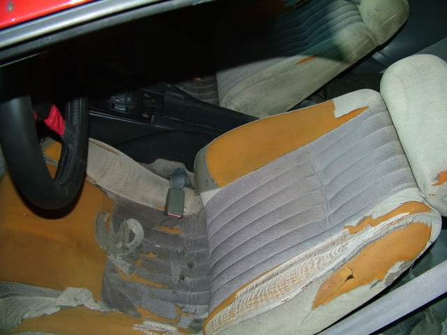 DSCF2264.jpg