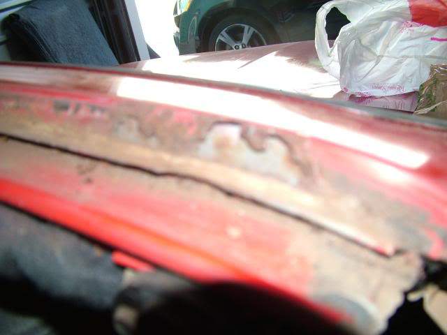 DSCF2393.jpg