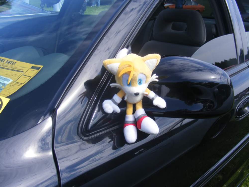 DSCF6573.jpg