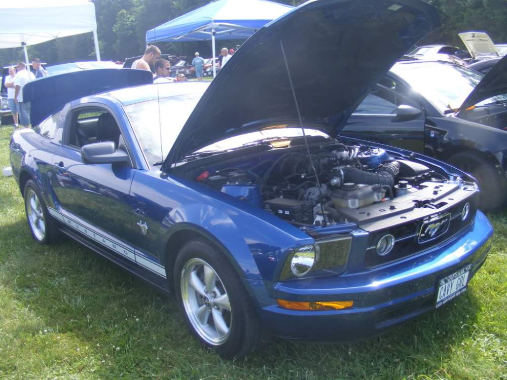 DSCF6590.jpg