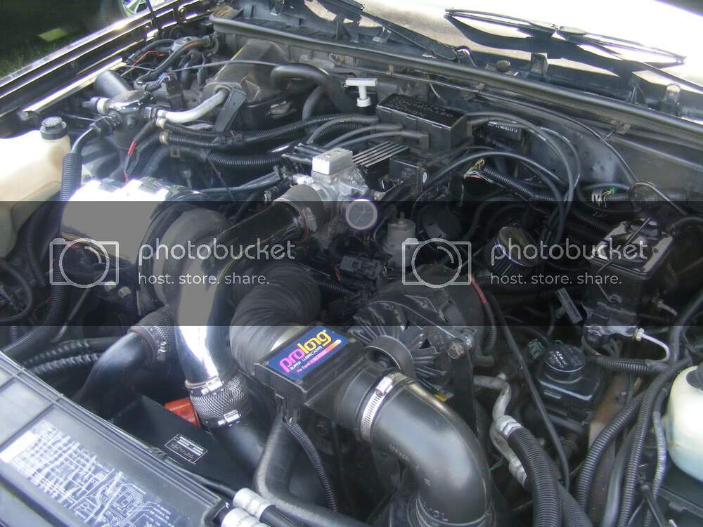 DSCF6626.jpg