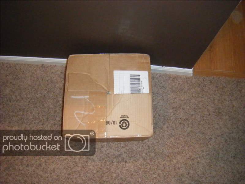 DSCF9343.jpg