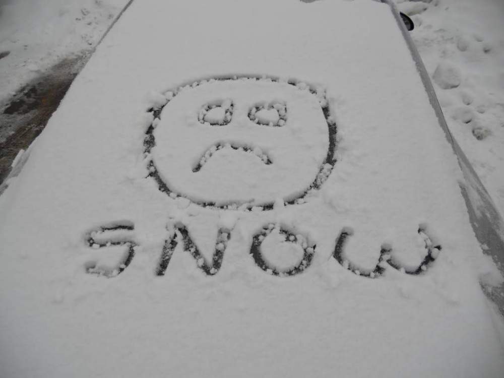 DSCN0167.jpg
