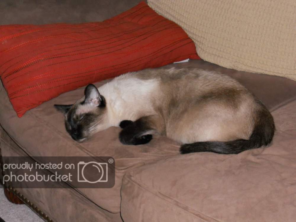 DSCN0970.jpg