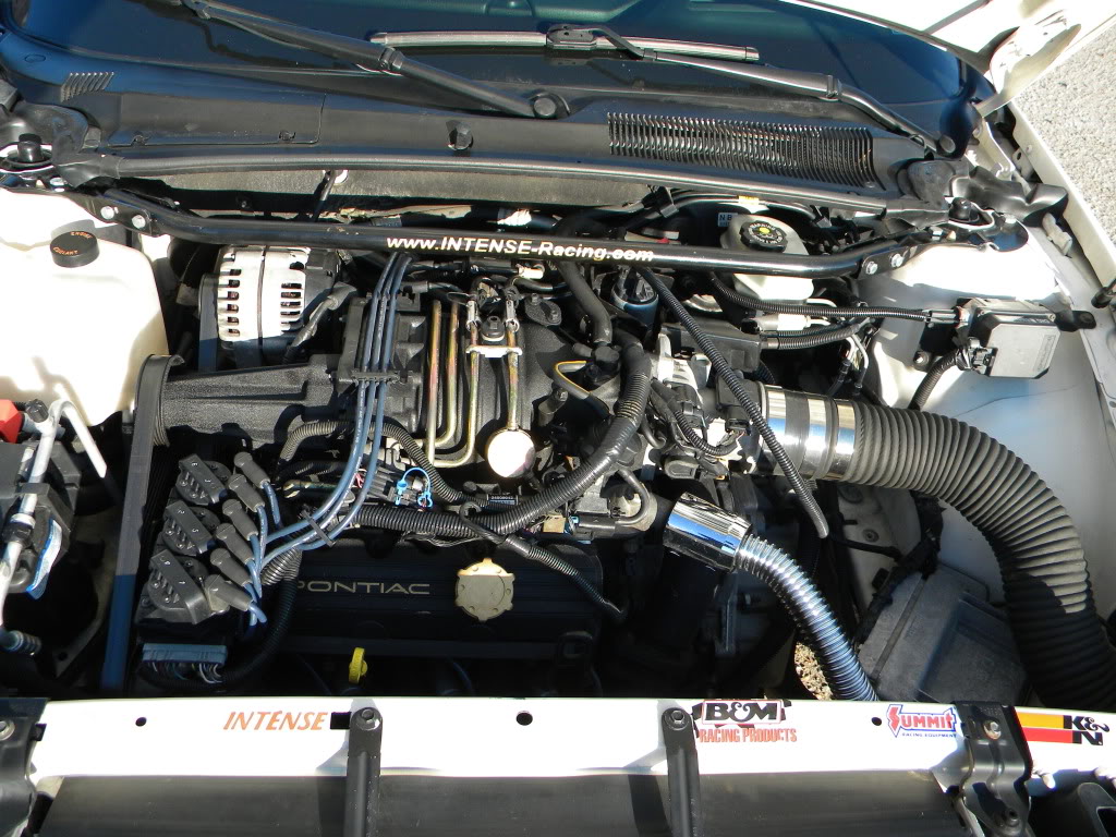 DSCN2388.jpg