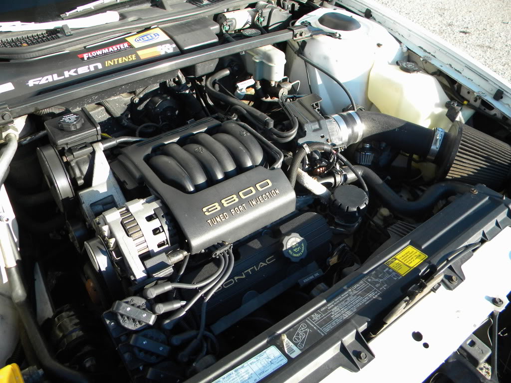DSCN2394.jpg