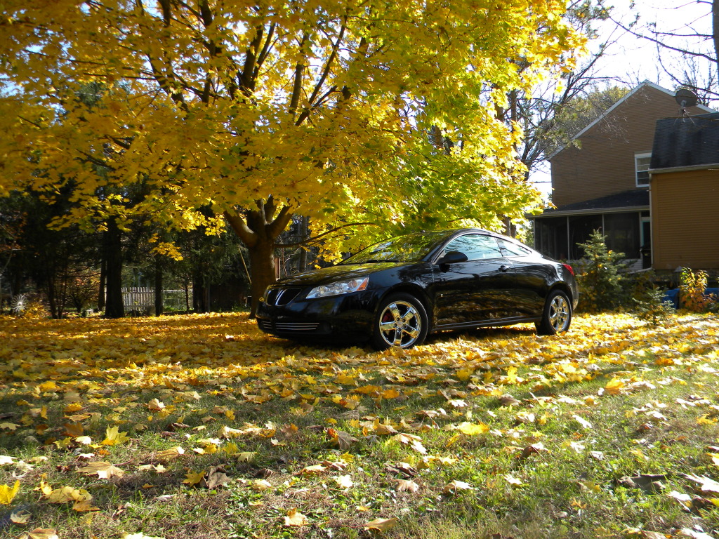 DSCN5072.jpg