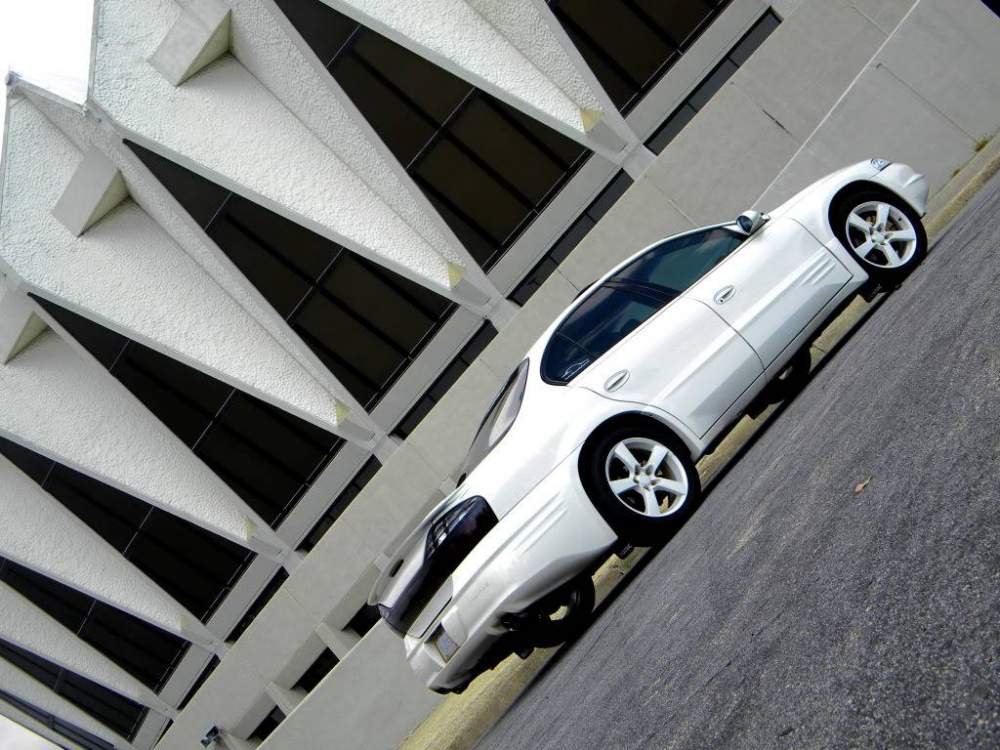 DSCN5252.jpg