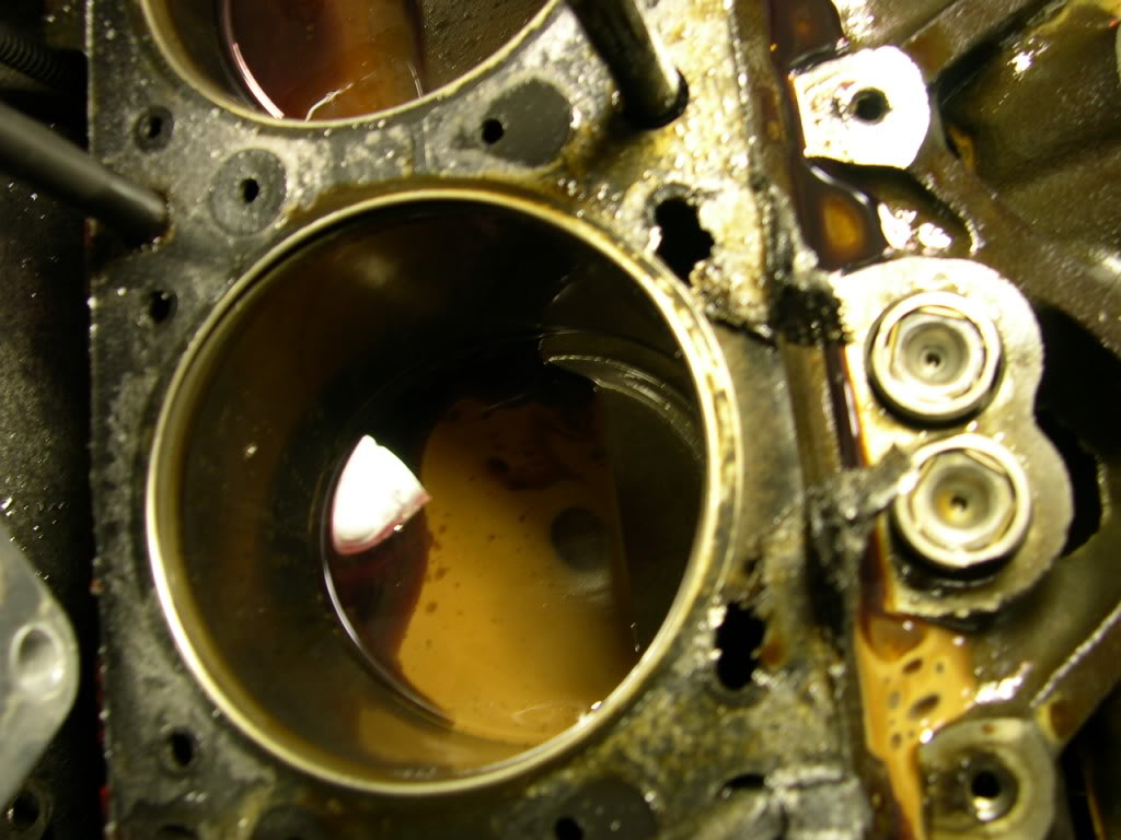 DSCN5662.jpg