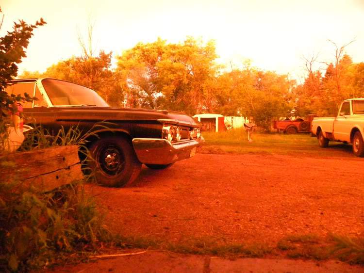 DSCN9529.jpg