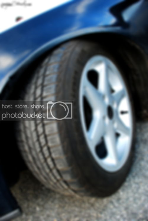 DSC_0207.png