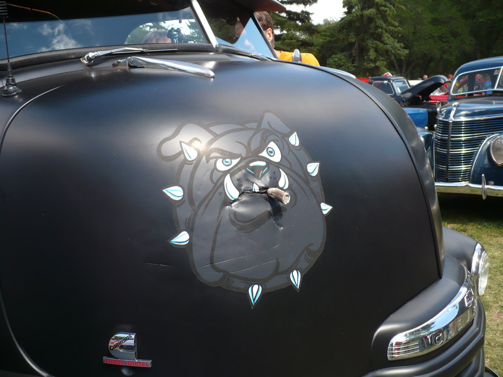 Da_bull_dawg_by_QuanticChaos1000.jpg