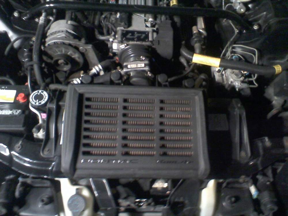 E41A0590-2.jpg