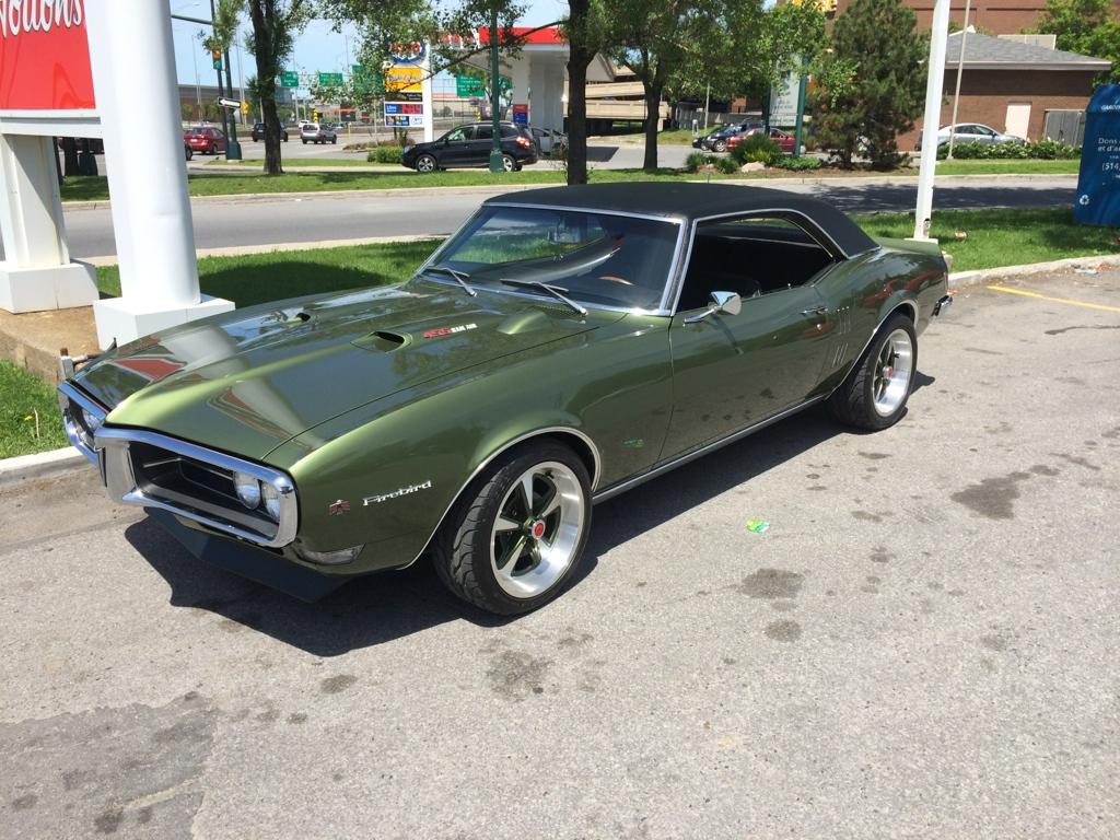 Firebird.jpg.fde84064cd17e936c09f2faf267
