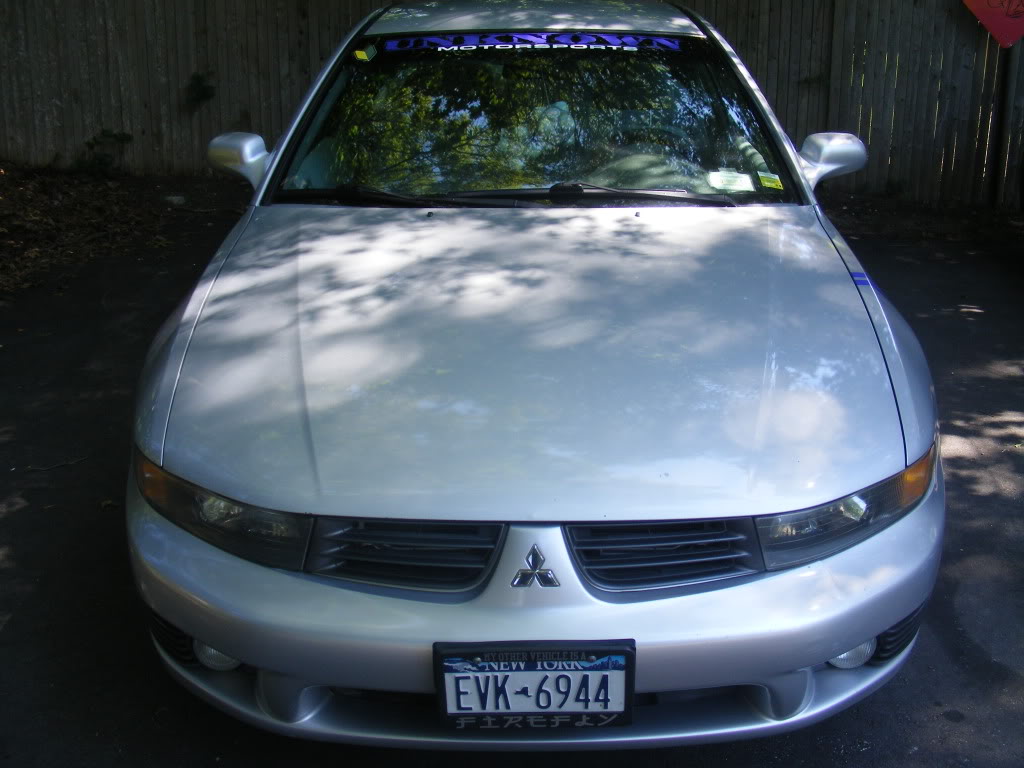 GalantStripes3.jpg