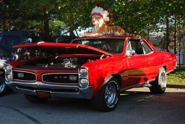 Gto12022_zpsfe03bb9b.jpg