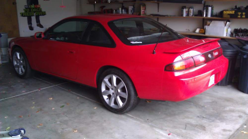 IMAG0269.jpg