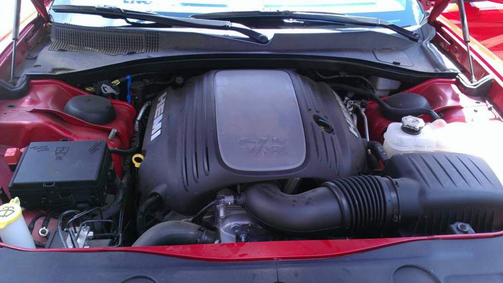 IMAG0698.jpg