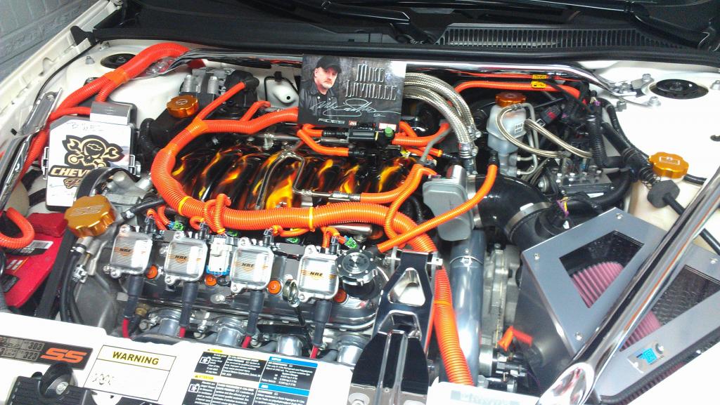 IMAG1301-1.jpg