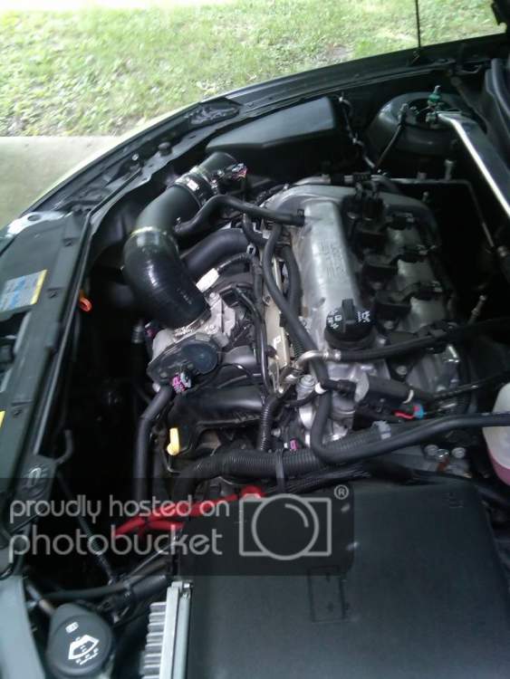 IMG00174-20110823-1442.jpg
