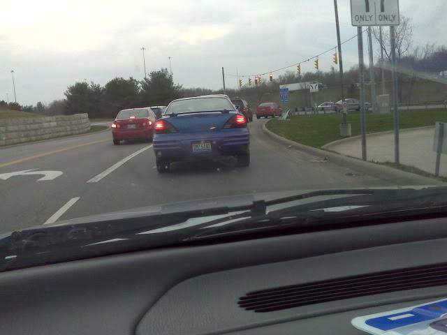 IMG00781.jpg