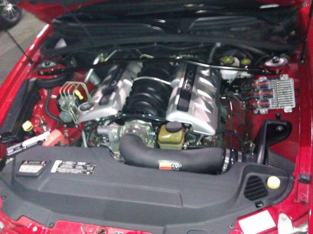 IMG_20110109_202700.jpg