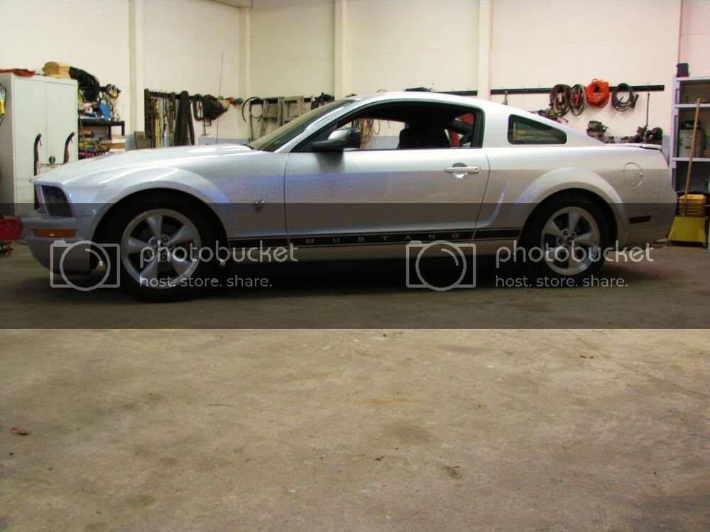 IMG_4542.jpg