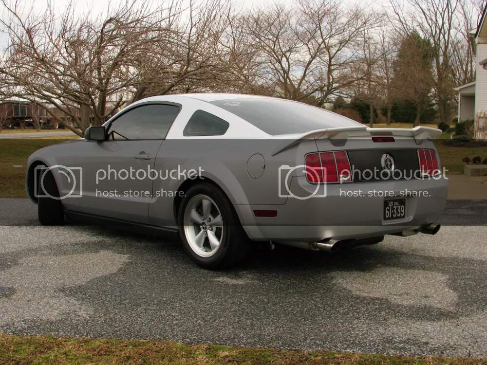 IMG_4730_zps6e1bba4a.jpg