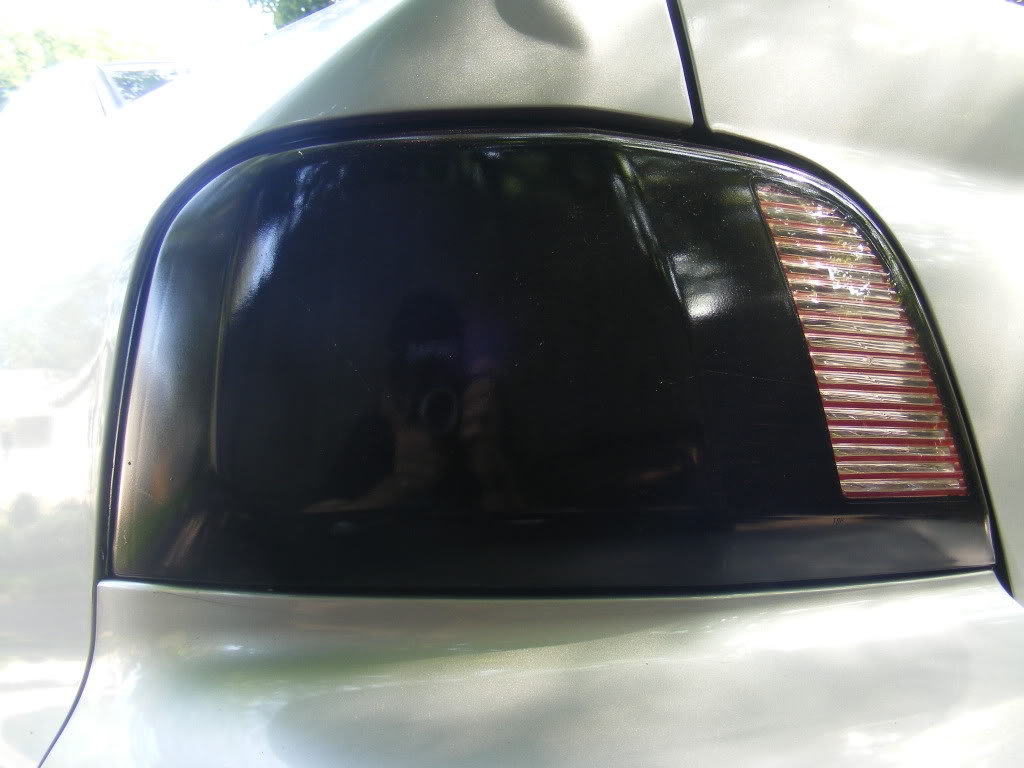 JesssGalant33.jpg
