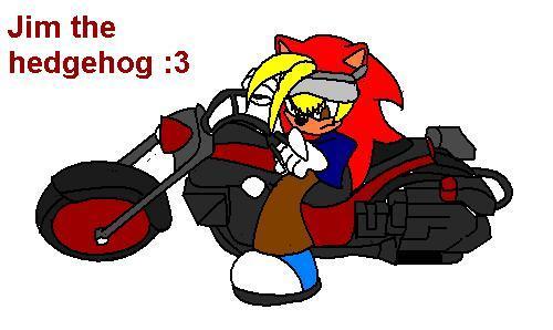 Jim-the-hedgehog-sonic-fan-characters-12026256-500-298.jpg