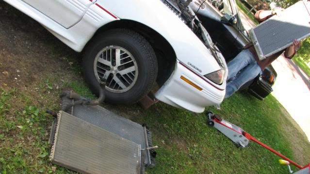 NITROFEST2010122.jpg