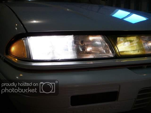P1110854.jpg
