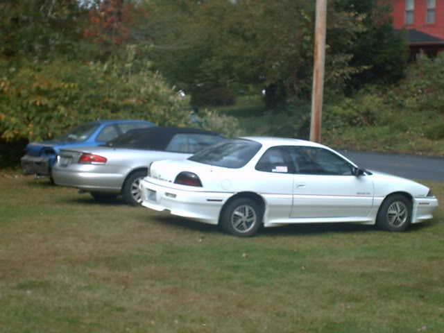 PICT0007.jpg