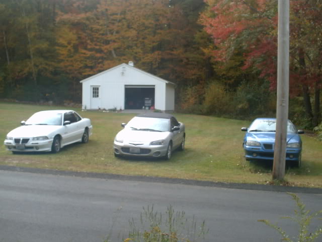 PICT0009.jpg
