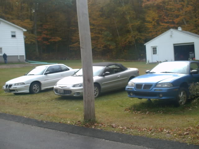 PICT0010.jpg