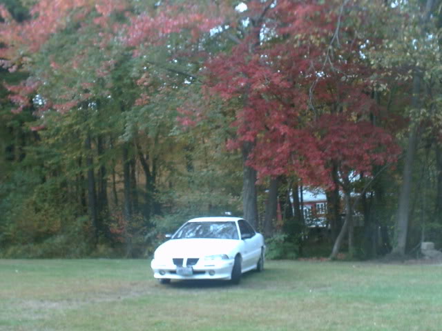 PICT0014.jpg