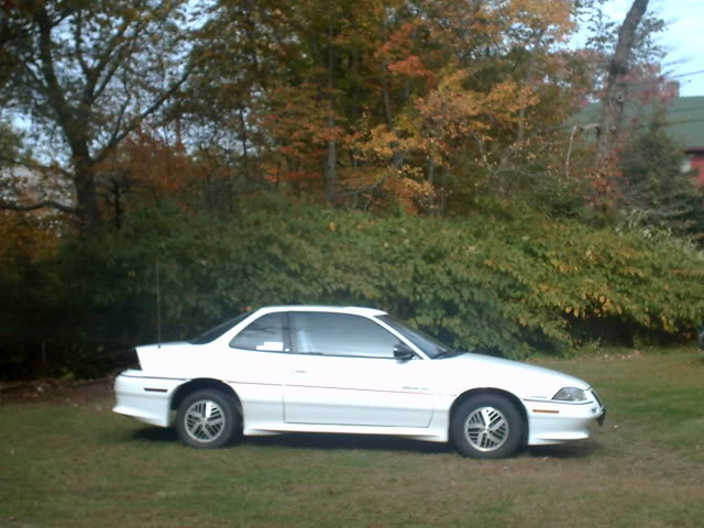 PICT0016.jpg