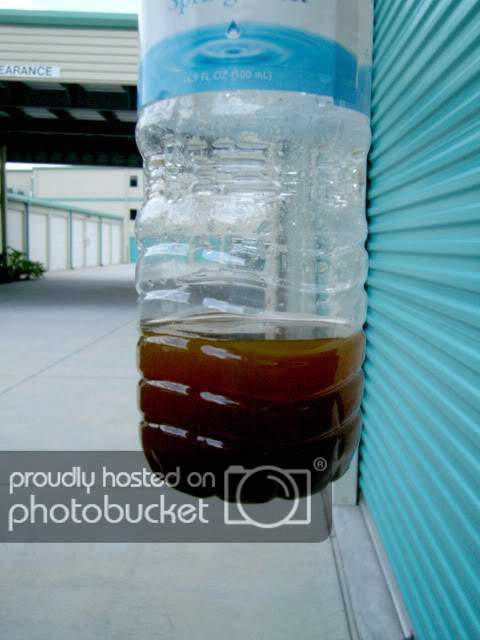 PICT0549.jpg