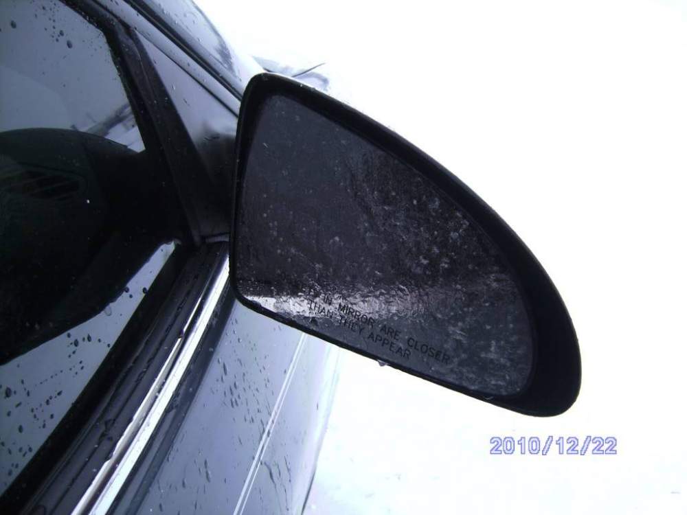 PICT1195.jpg