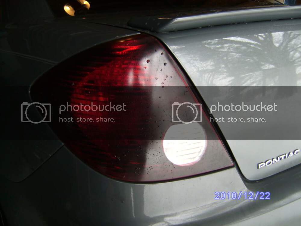 PICT1198.jpg