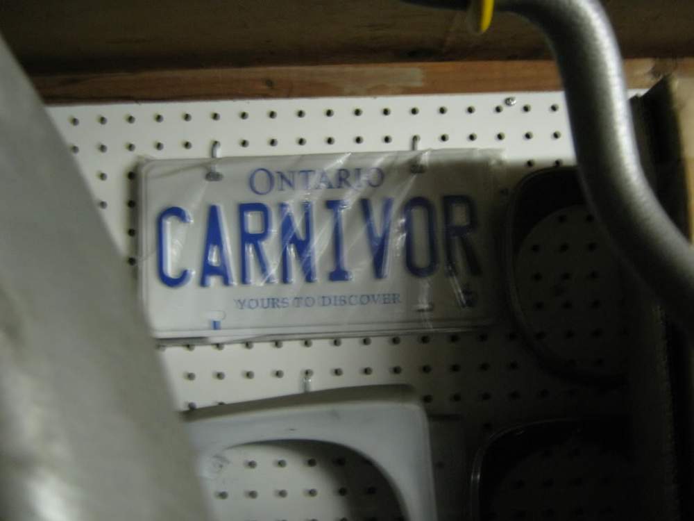 Picture007.jpg