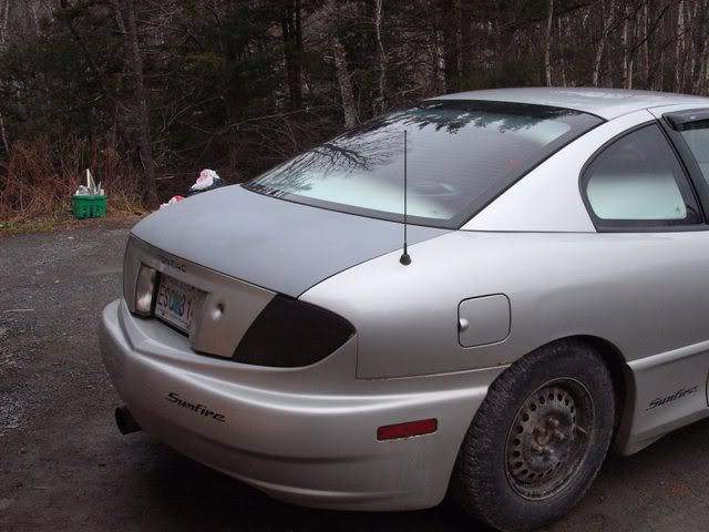 Picture017.jpg