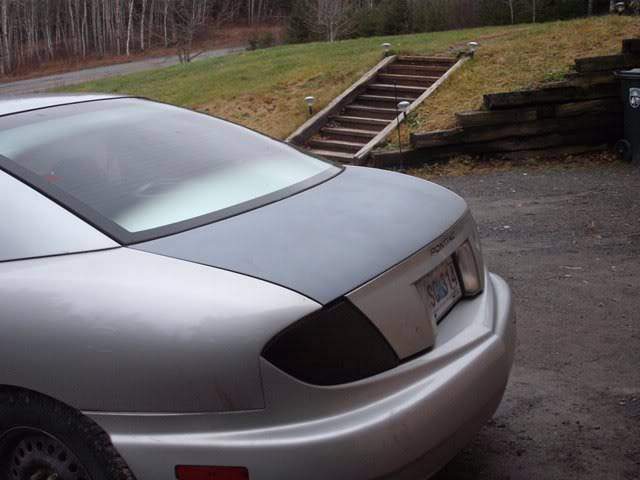 Picture018.jpg
