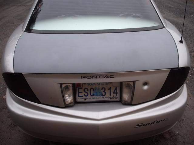 Picture019.jpg