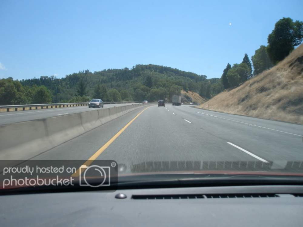 Picture1216.jpg