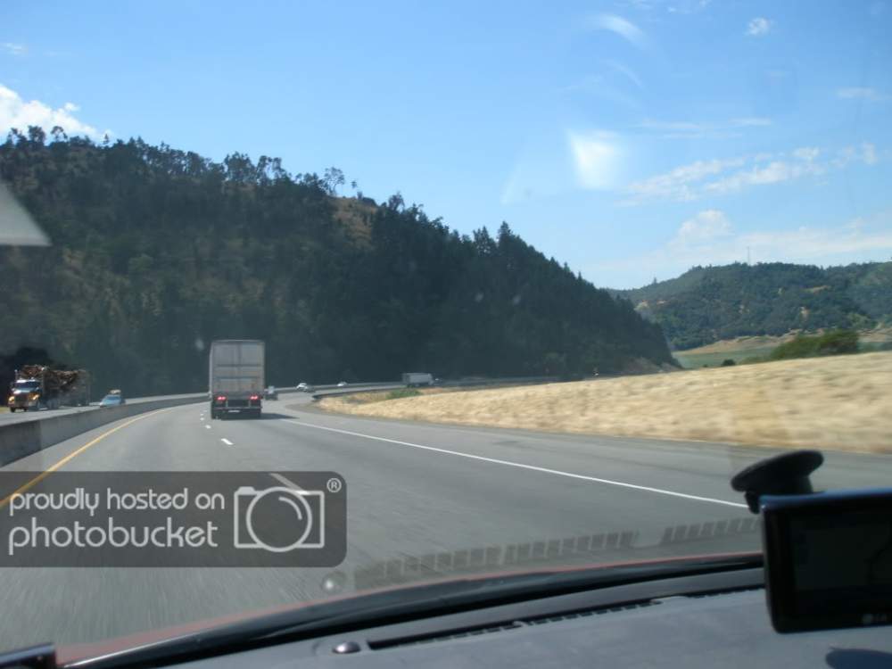 Picture1217.jpg