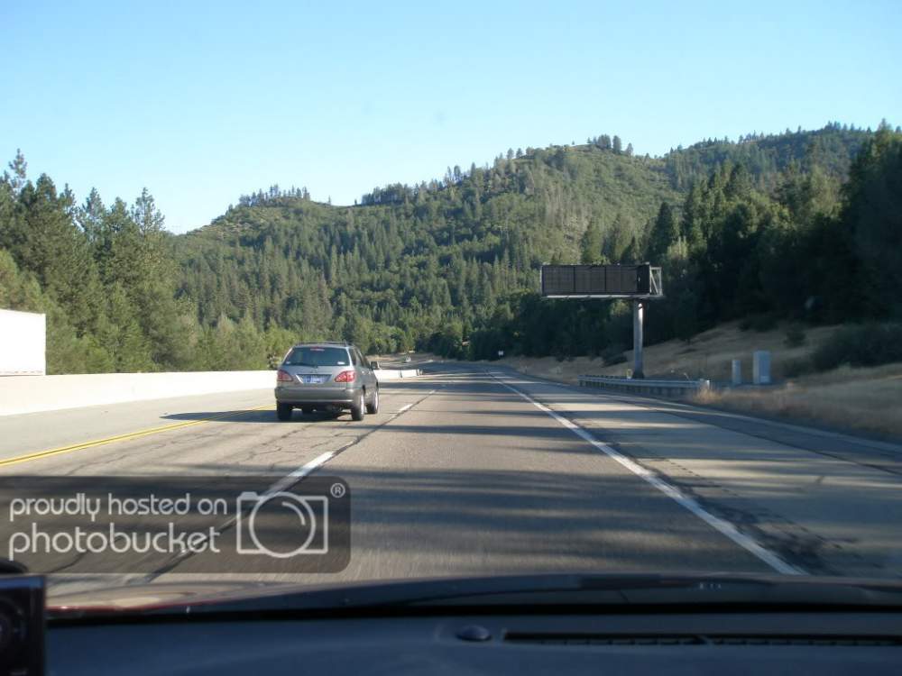 Picture1235.jpg