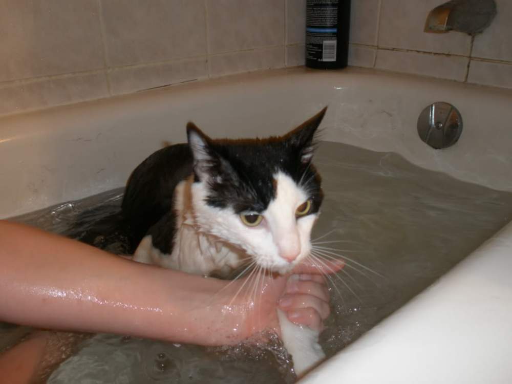 Picture1564.jpg