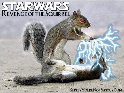 RevengeSquirrel.jpg
